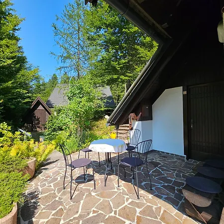 61 Jasna Kranjska Gora