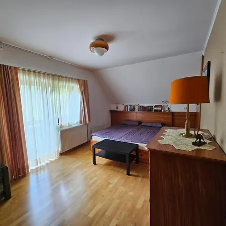 61 Jasna