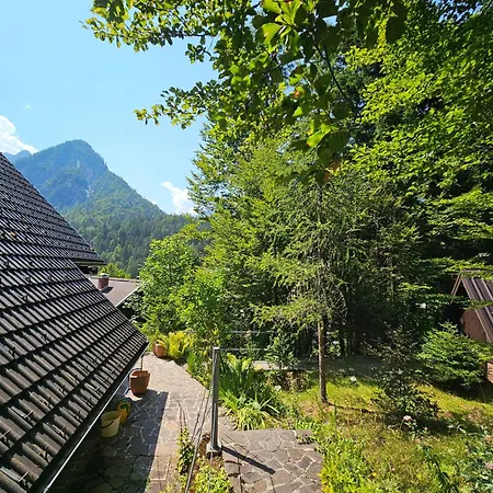 61 Jasna Tatil Evi Kranjska Gora