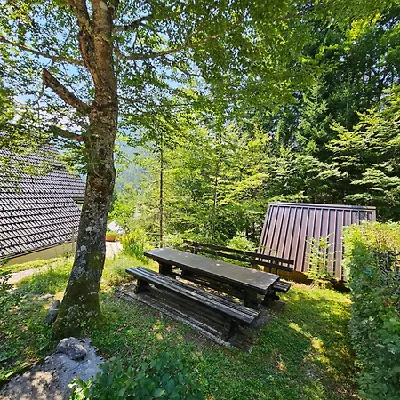 61 Jasna Kranjska Gora