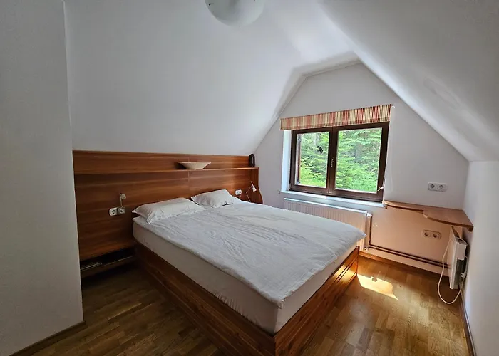 61 Jasna Kranjska Gora