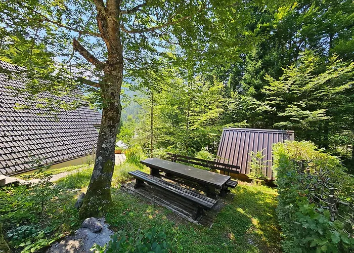 61 Jasna Kranjska Gora